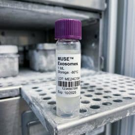 ML Billion MUSE Exosomes shutterstock