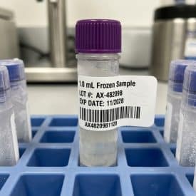 ML M with M Muse shutterstock